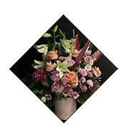 https://www.urlacicek.com.tr/