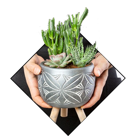 https://www.urlacicek.com.tr/