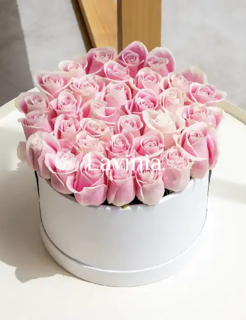 KUTUDA PEMBE GÜLLER