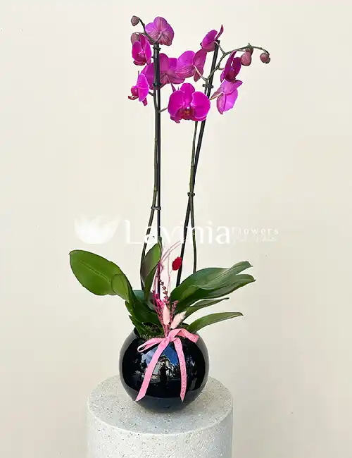 laviniaflowers285