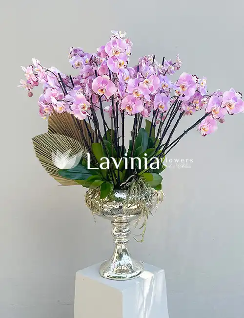 laviniaflowers294
