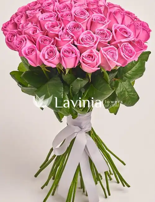 31 LİLA GÜL 