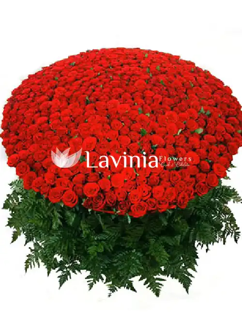 BİG BOX RED ROSE