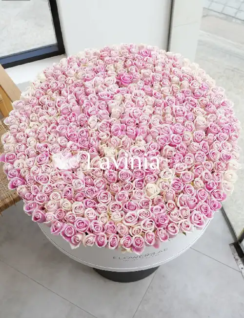 501 PİNK ROSE PARİS
