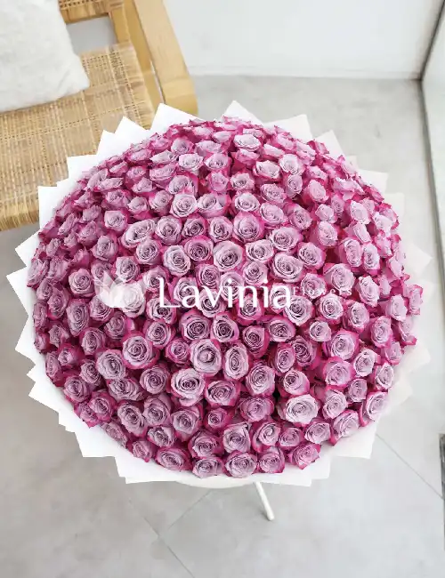 LİLA DEV BUKET 301 ADET